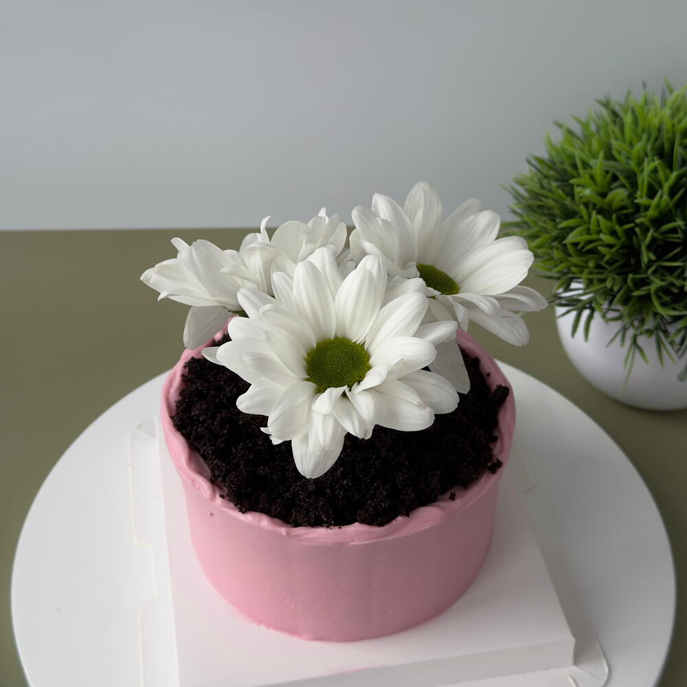 Бенто торт маме цветы в горшке