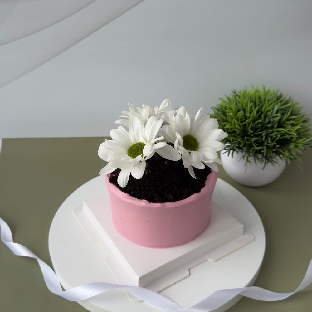 Бенто торт маме цветы в горшке