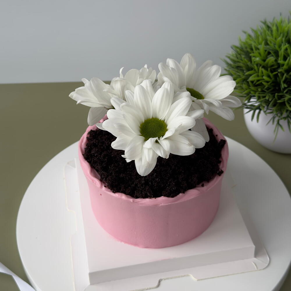 Бенто торт маме цветы в горшке