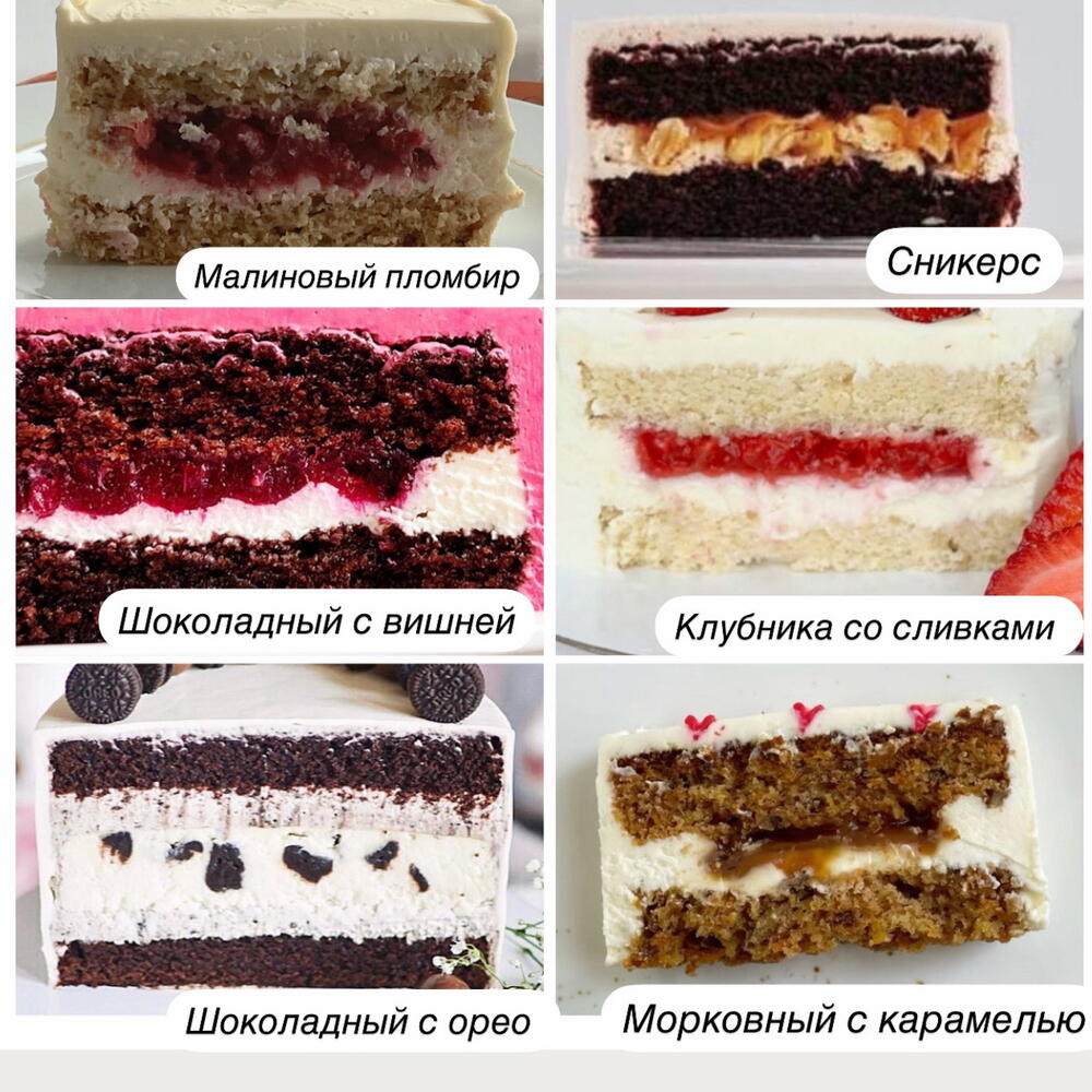 Бенто торт Муха