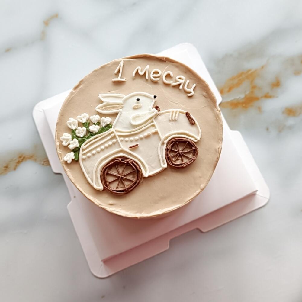 Бенто-торт на ежемесячную фотосессию малышу