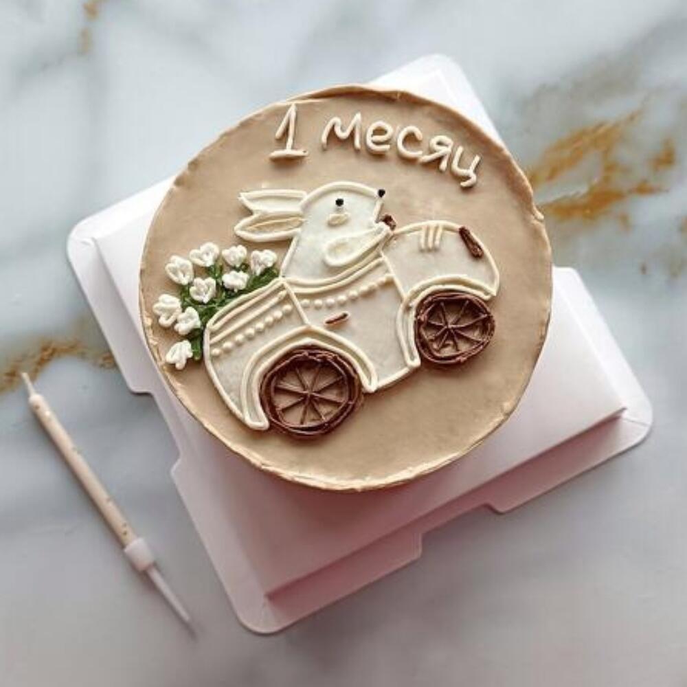 Бенто-торт на ежемесячную фотосессию малышу