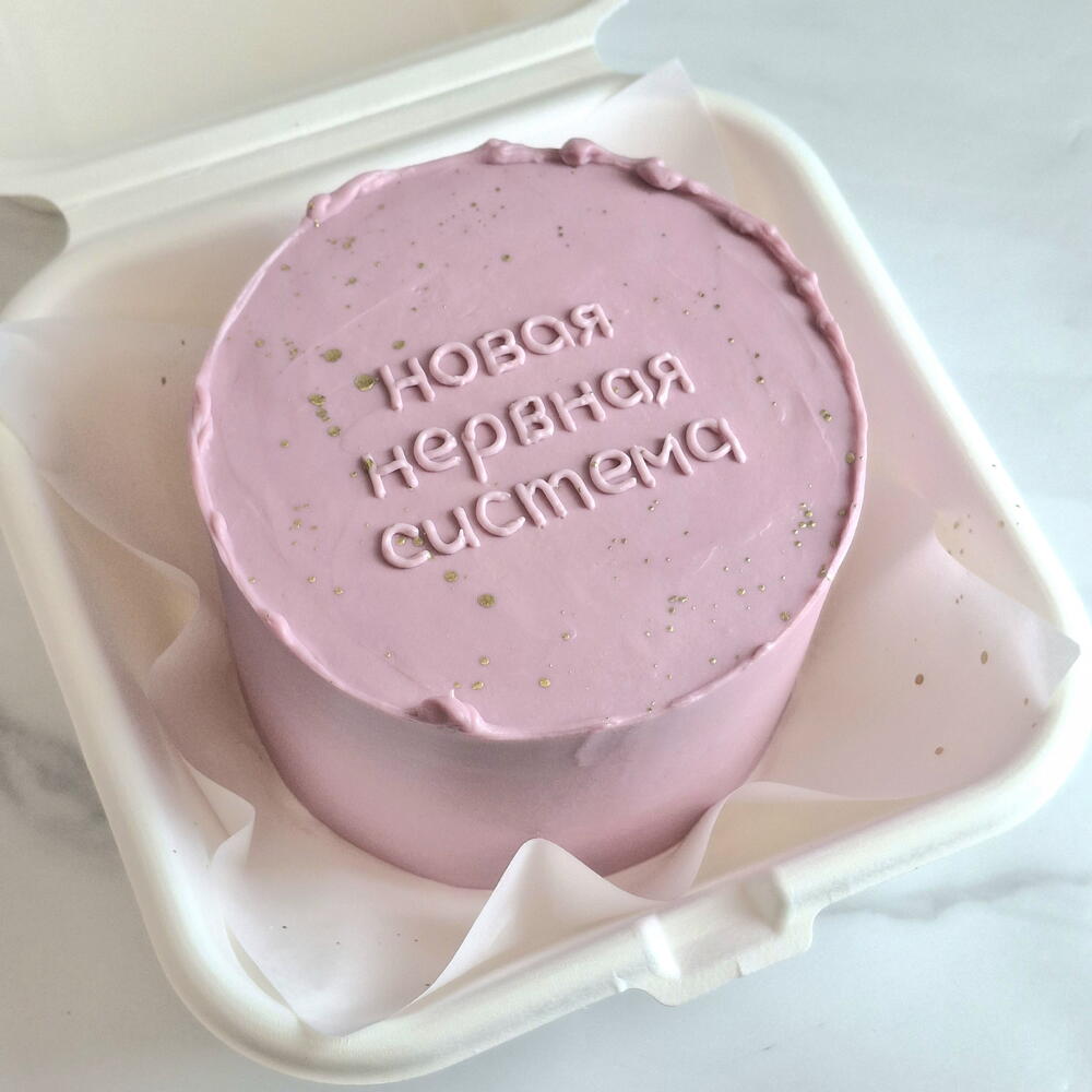 Бенто торт розовый, фиолетовый "Новая нервная система " на день рождения