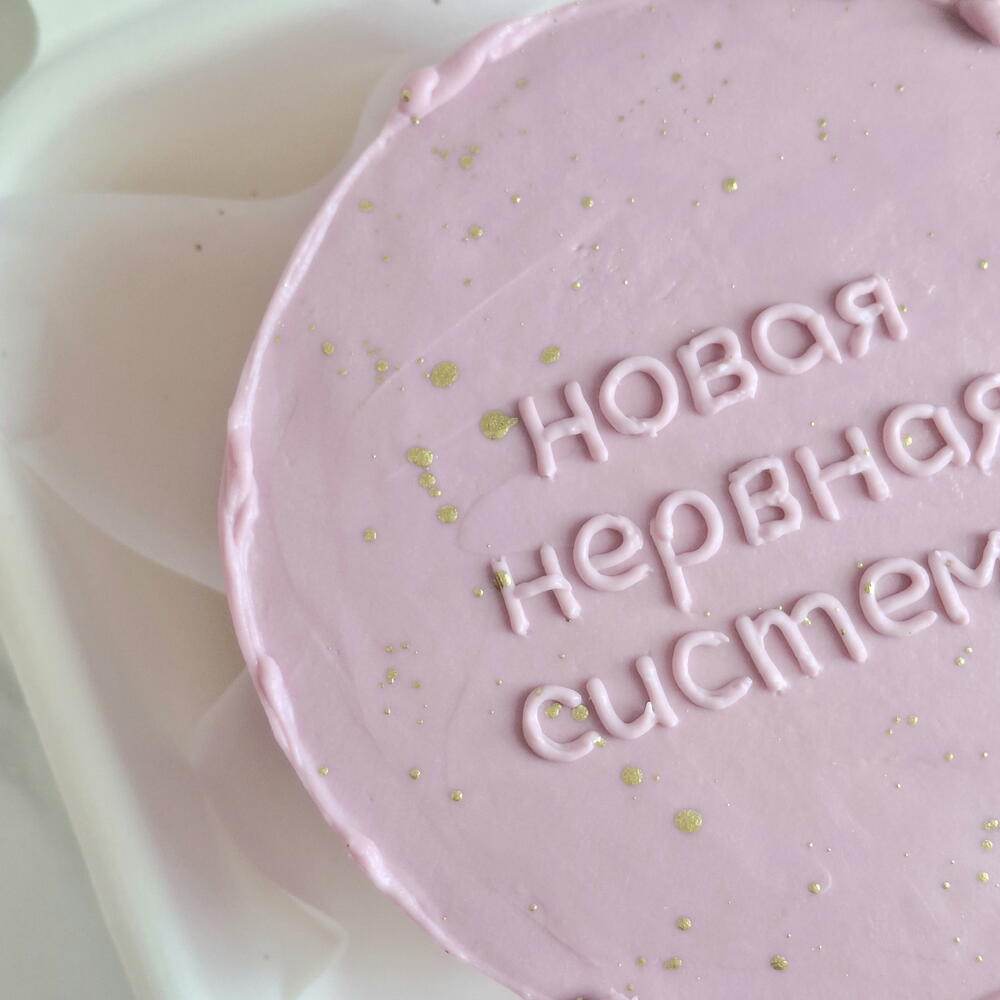 Бенто торт розовый, фиолетовый "Новая нервная система " на день рождения