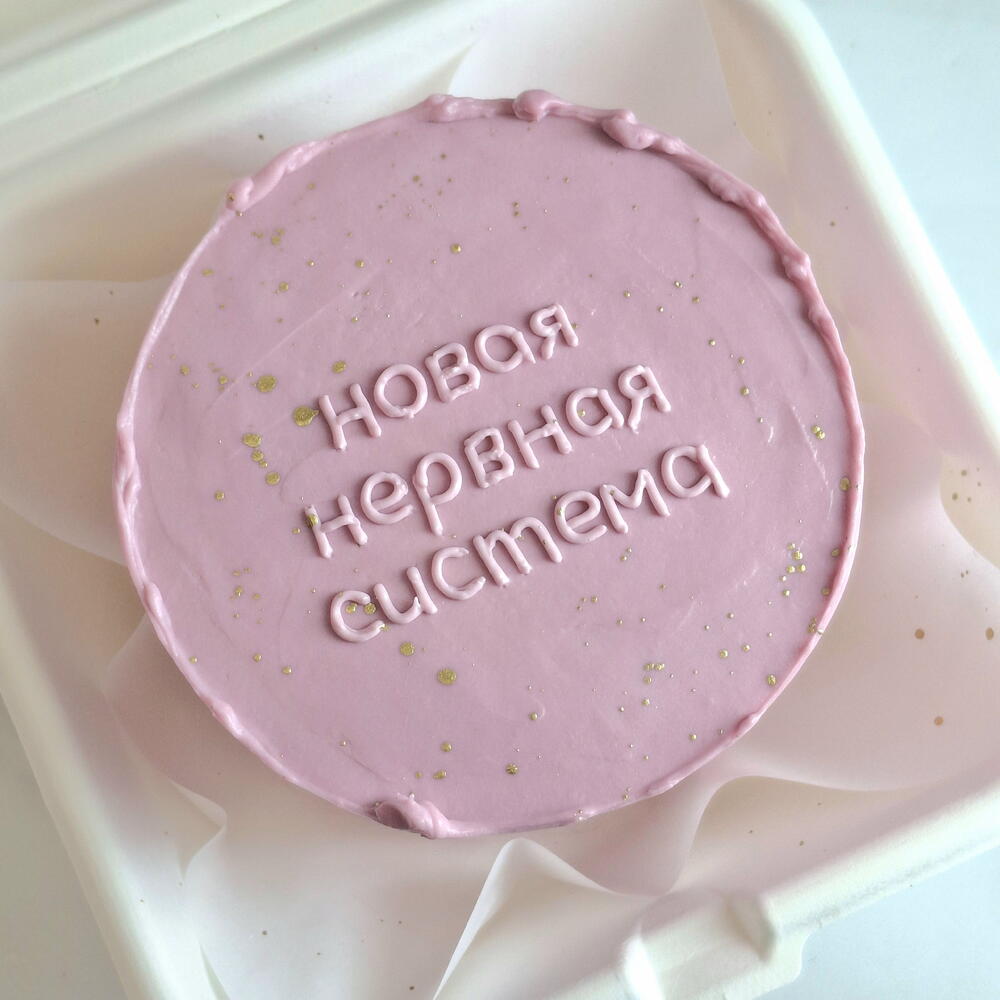 Бенто торт розовый, фиолетовый "Новая нервная система " на день рождения