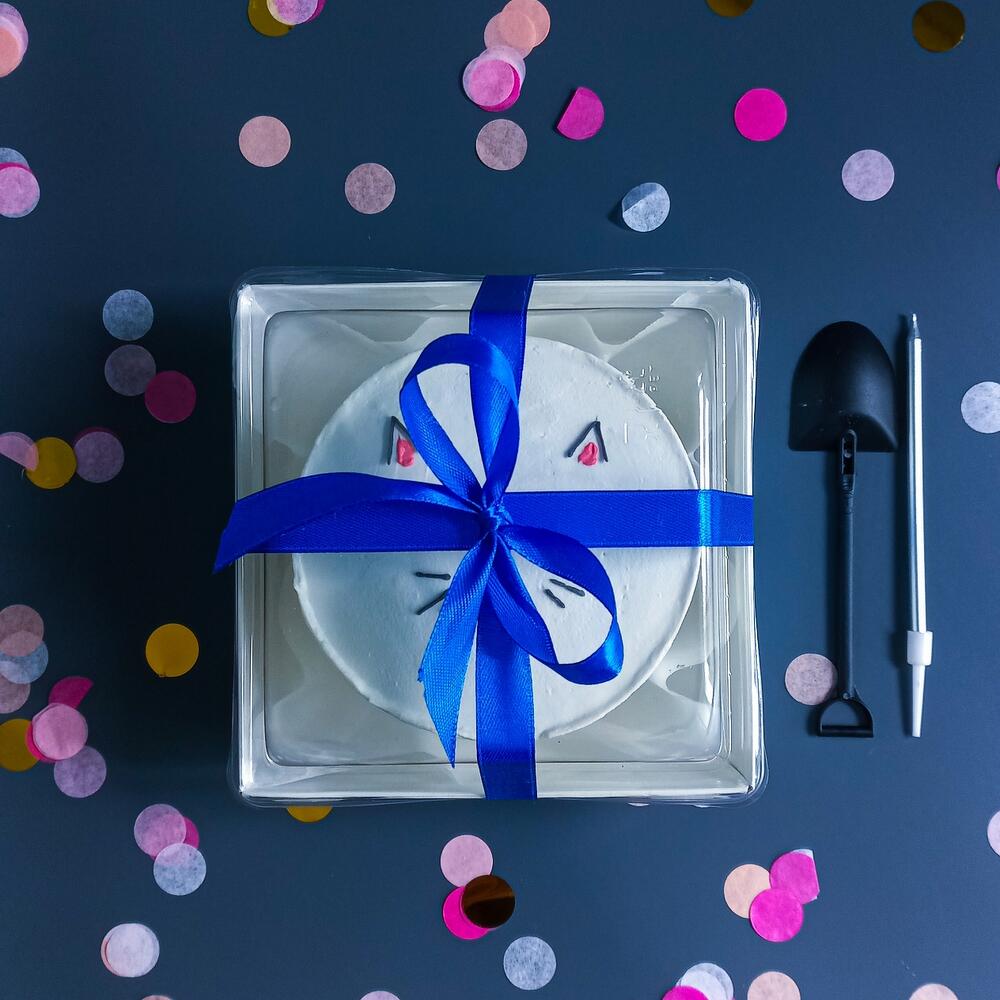 Бенто торт с котиком