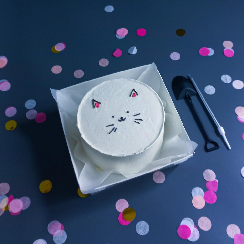 Бенто торт с котиком