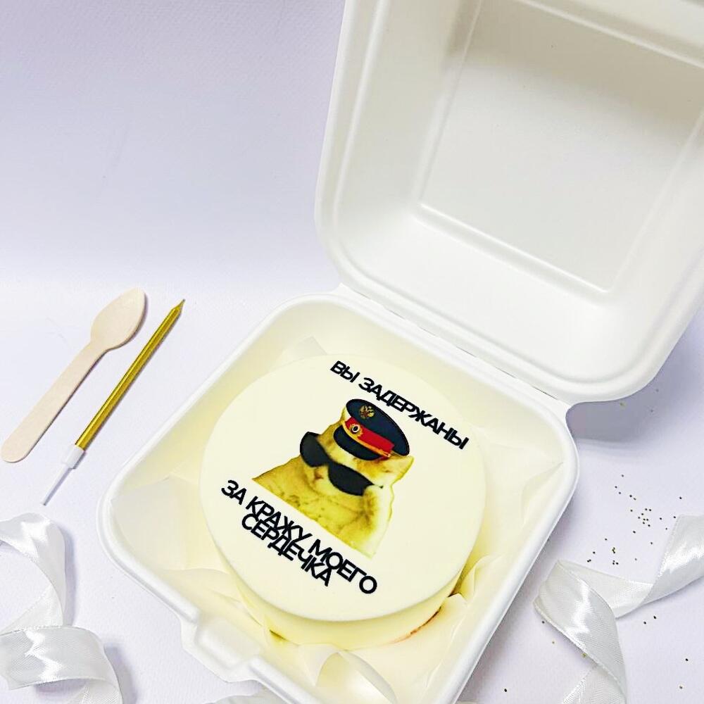 Бенто торт с мемным котиком: Вы задержаны за кражу моего сердца