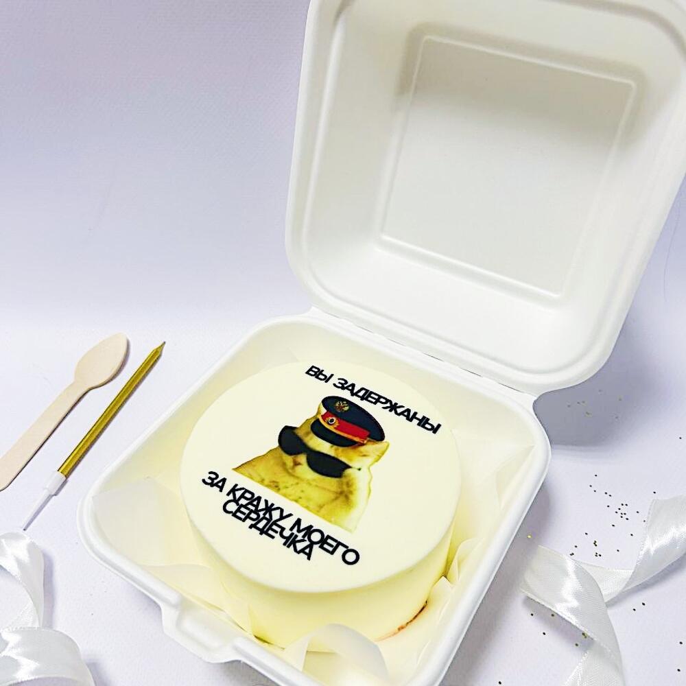 Бенто торт с мемным котиком: Вы задержаны за кражу моего сердца