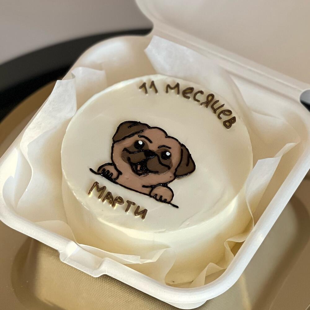 Бенто торт с питомцем