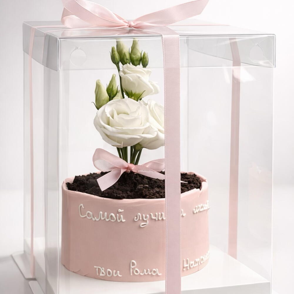 Бенто торт «цветочный горшок»