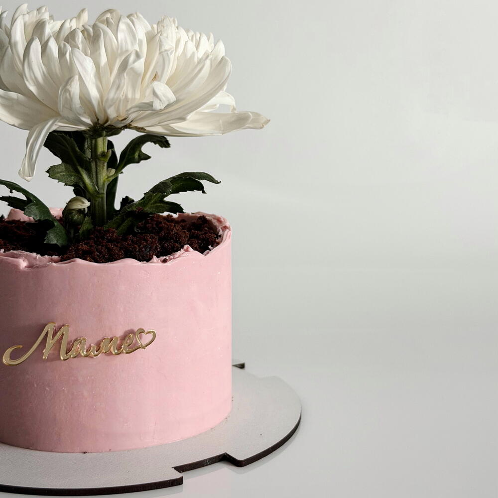 Бенто-торт "Цветок в горшке" на День матери, маме