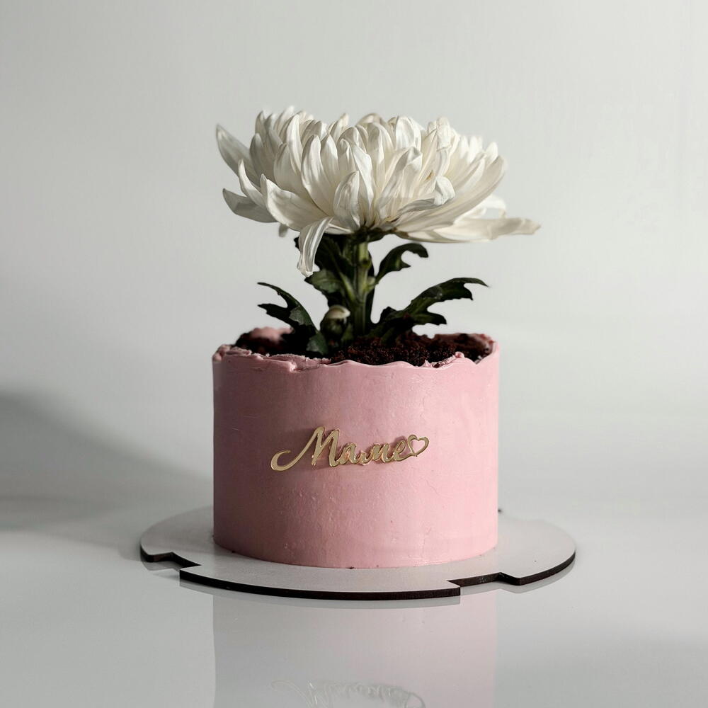 Бенто-торт "Цветок в горшке" на День матери, маме