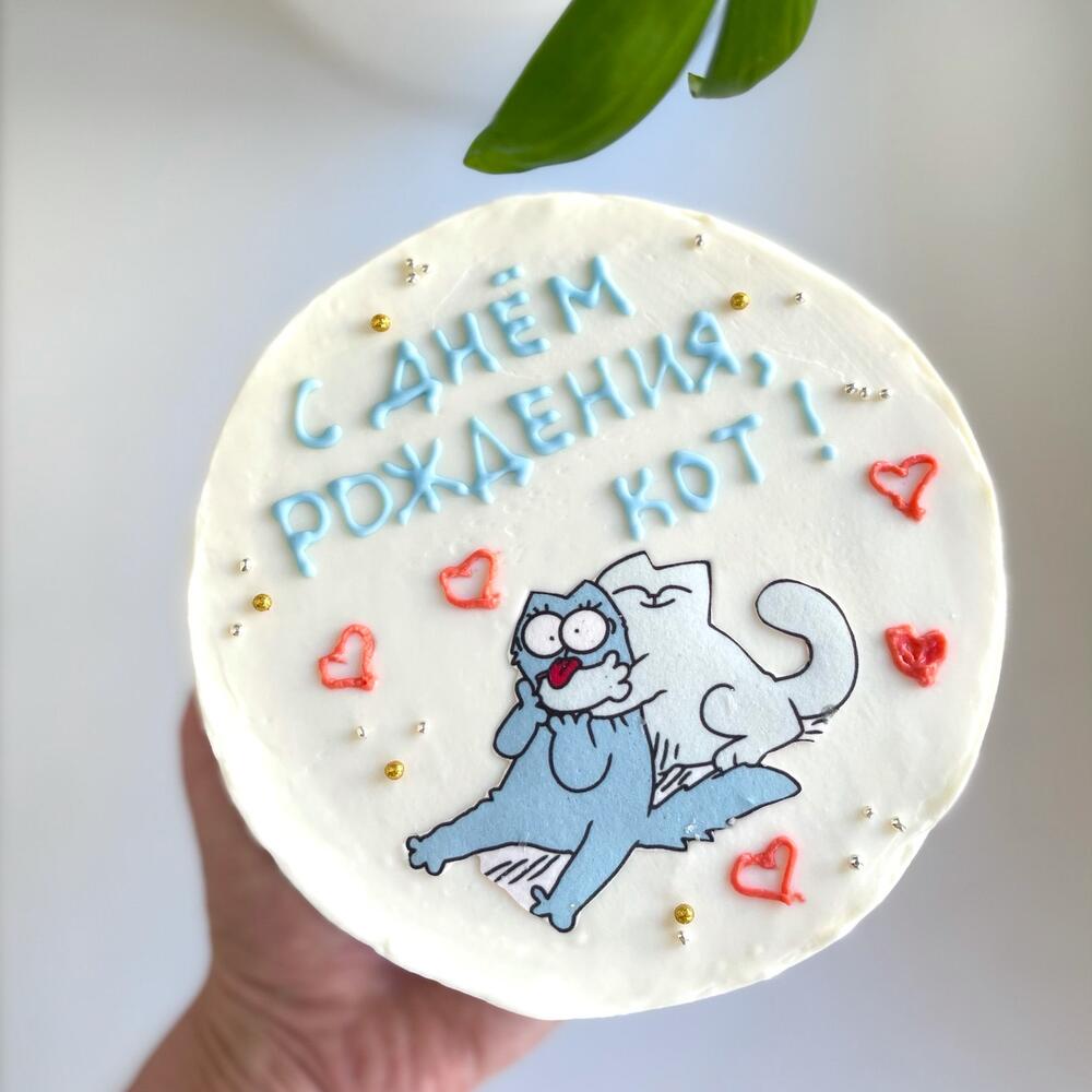 Бенто торт XL с днем рождения кот