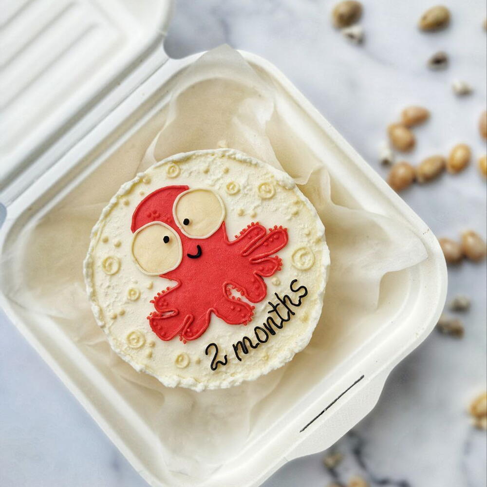 Бенто-торт/на каждый месяц рождения/ребенка