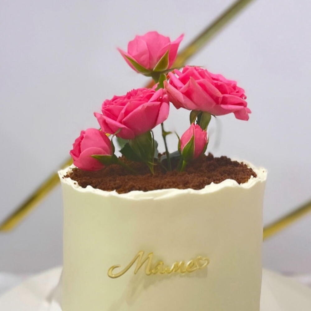 Бенто цветок в горшке