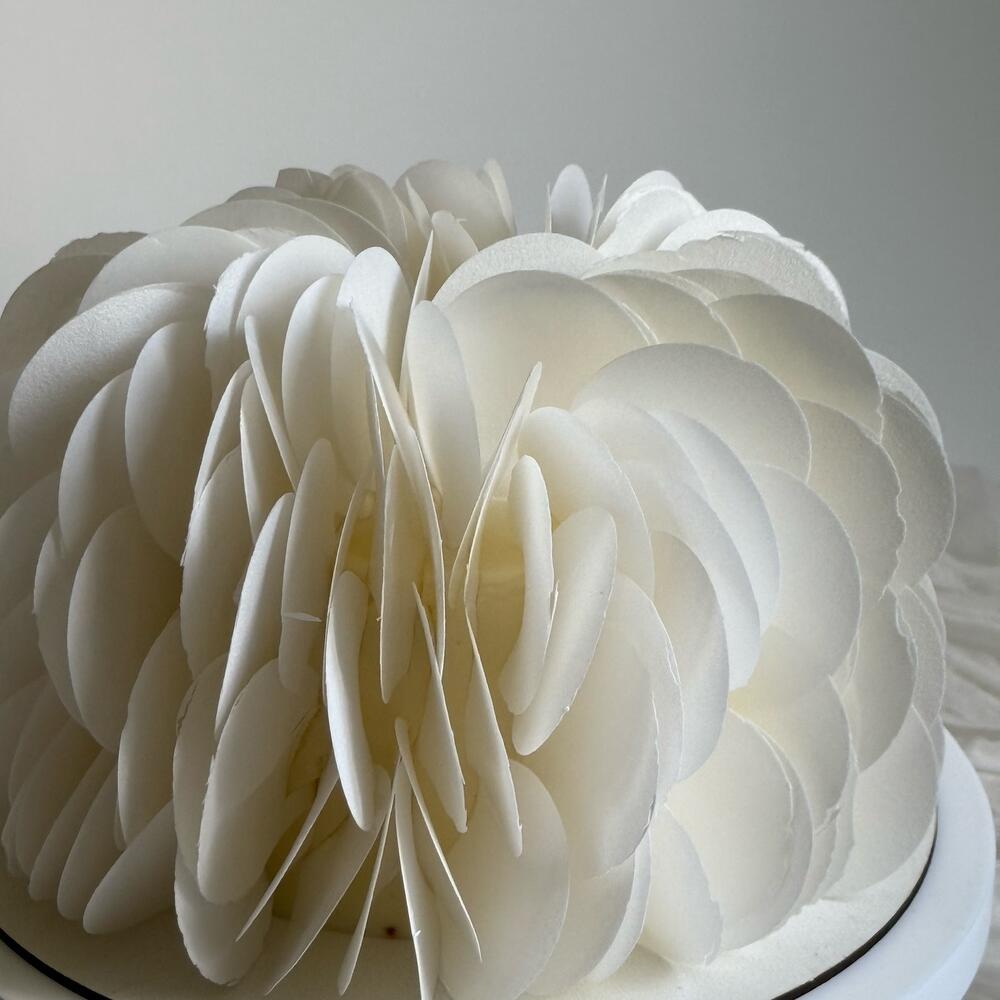 Торт 1кг | на день рождение